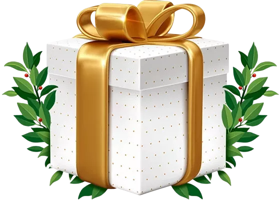 Pinco VIP Program